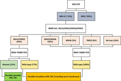 Frontiers | Clinicopathological characteristics of high